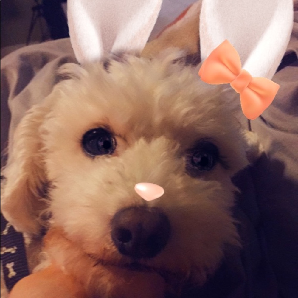 Meet your Posher, Antonia